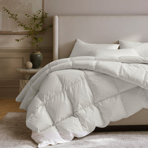 Down Duvet Insert