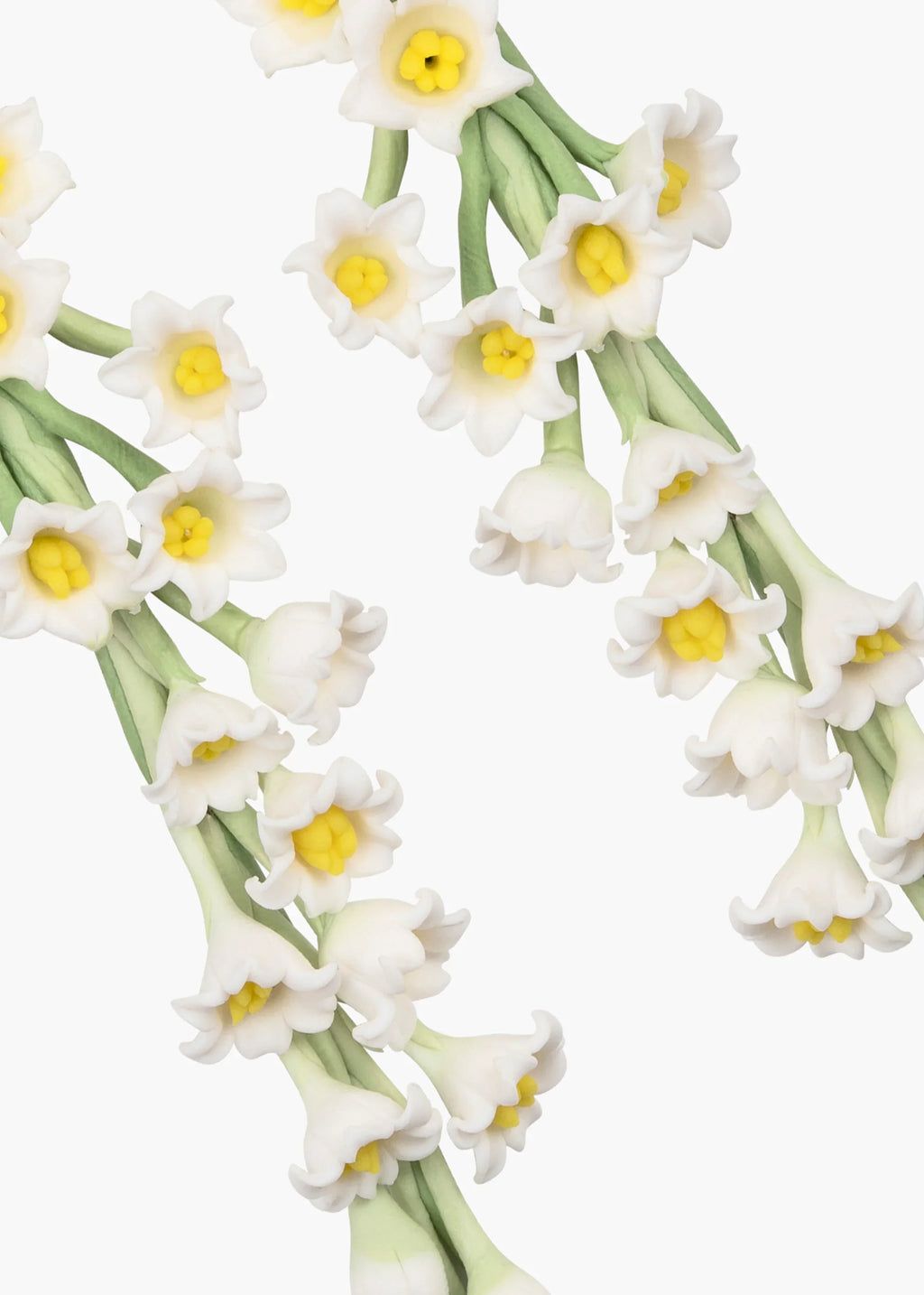 lily