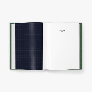 The Great Gatsby Art Novel