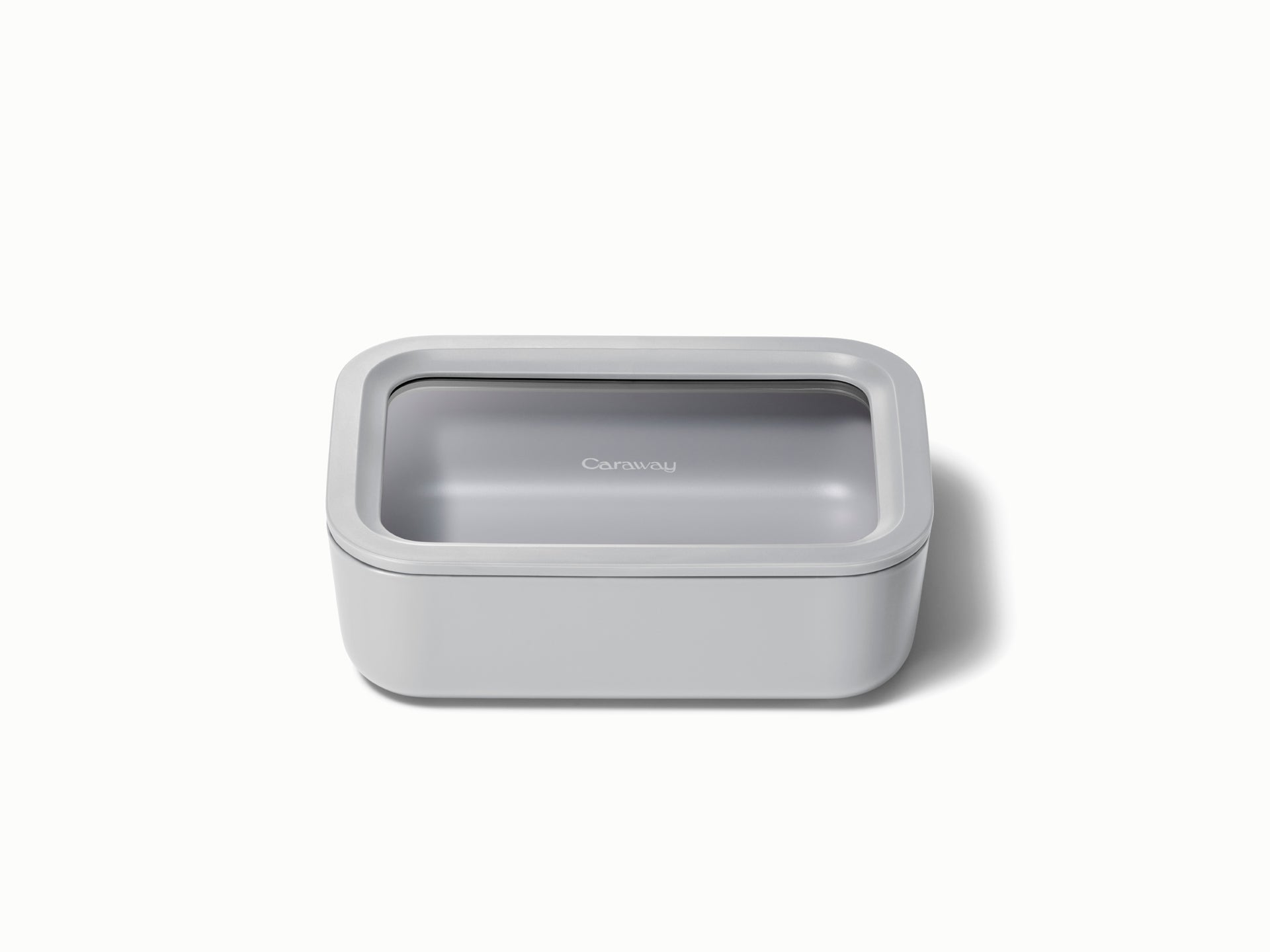 Medium Storage Container