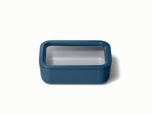 Medium Storage Container