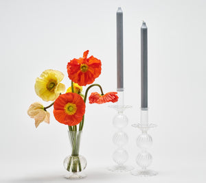 Tess Bud Vase in Clear, Set of 3