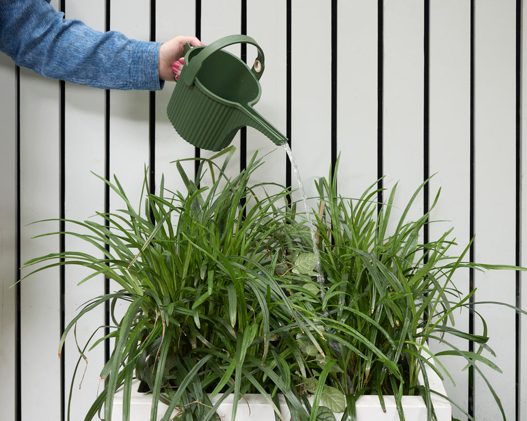 Hachiman Garden Beetle Watering Can Small in Garden Green