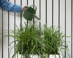 Hachiman Garden Beetle Watering Can Small in Garden Green