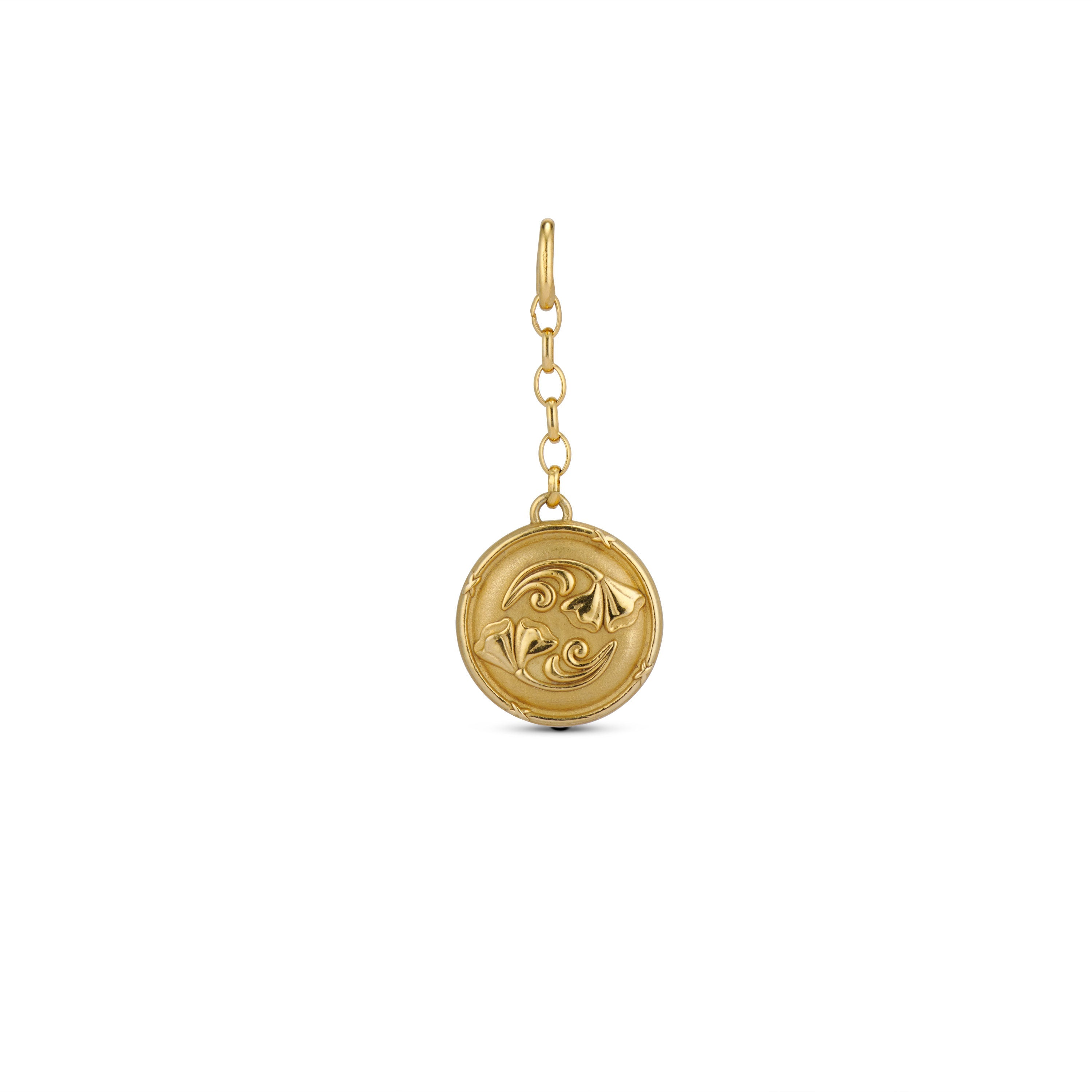The Sacred Shadow Charm