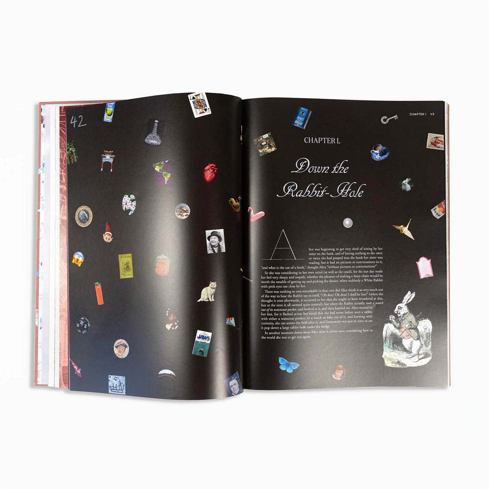 Alice in Wonderland Art Novel
