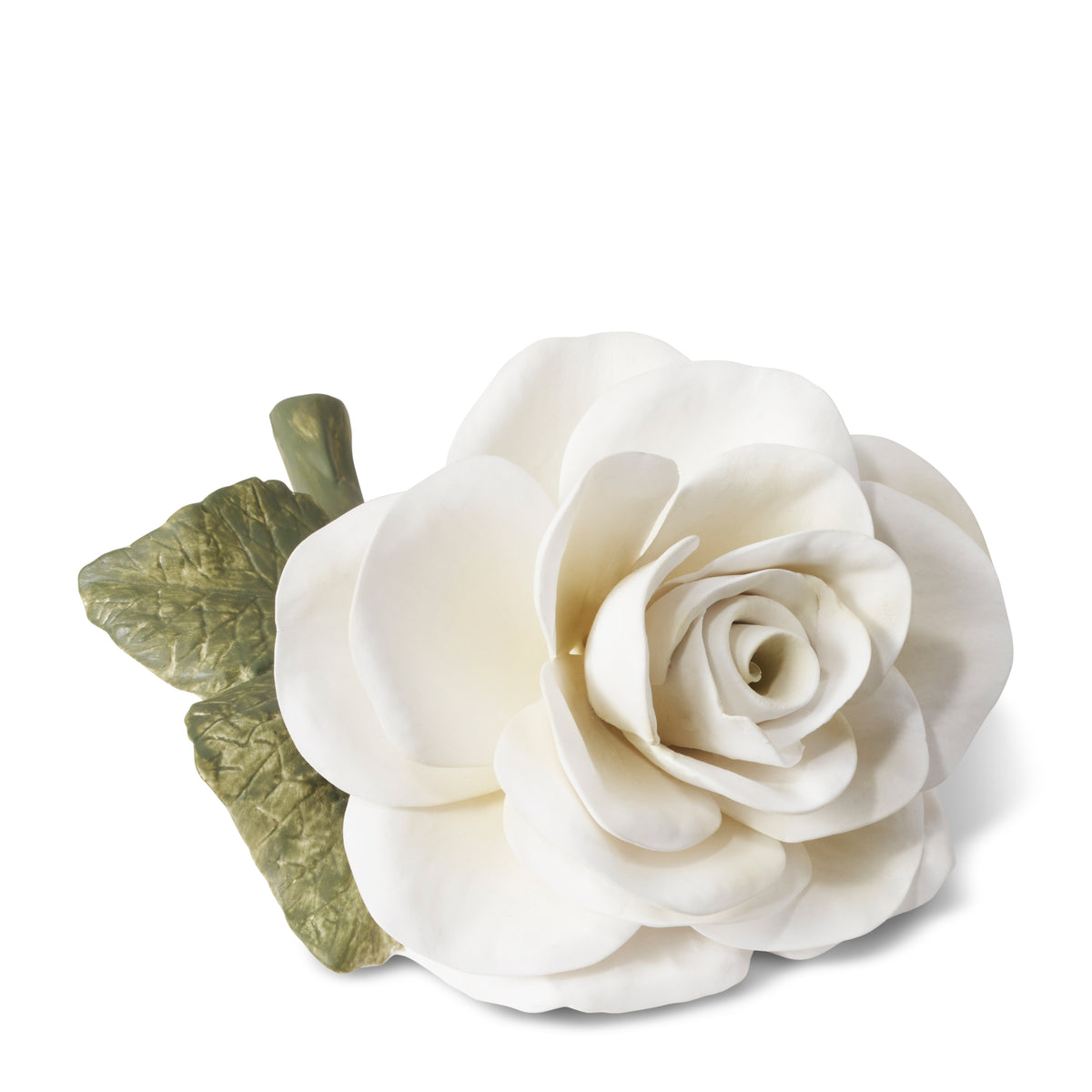 Porcelain Rose in Cream