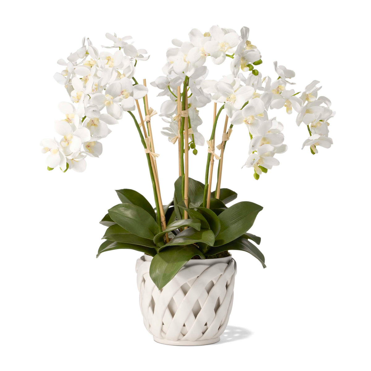 Aria Small Cachepot
