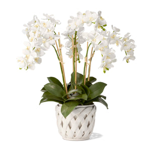Aria Small Cachepot