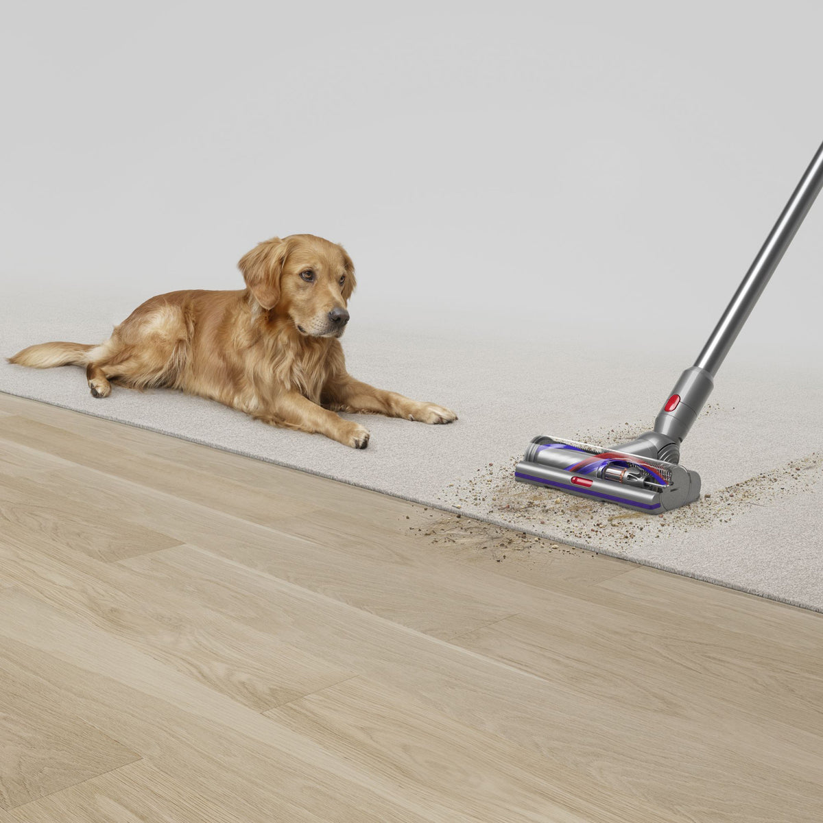 V15s Detect Submarine Wet & Dry Cordless Vacuum