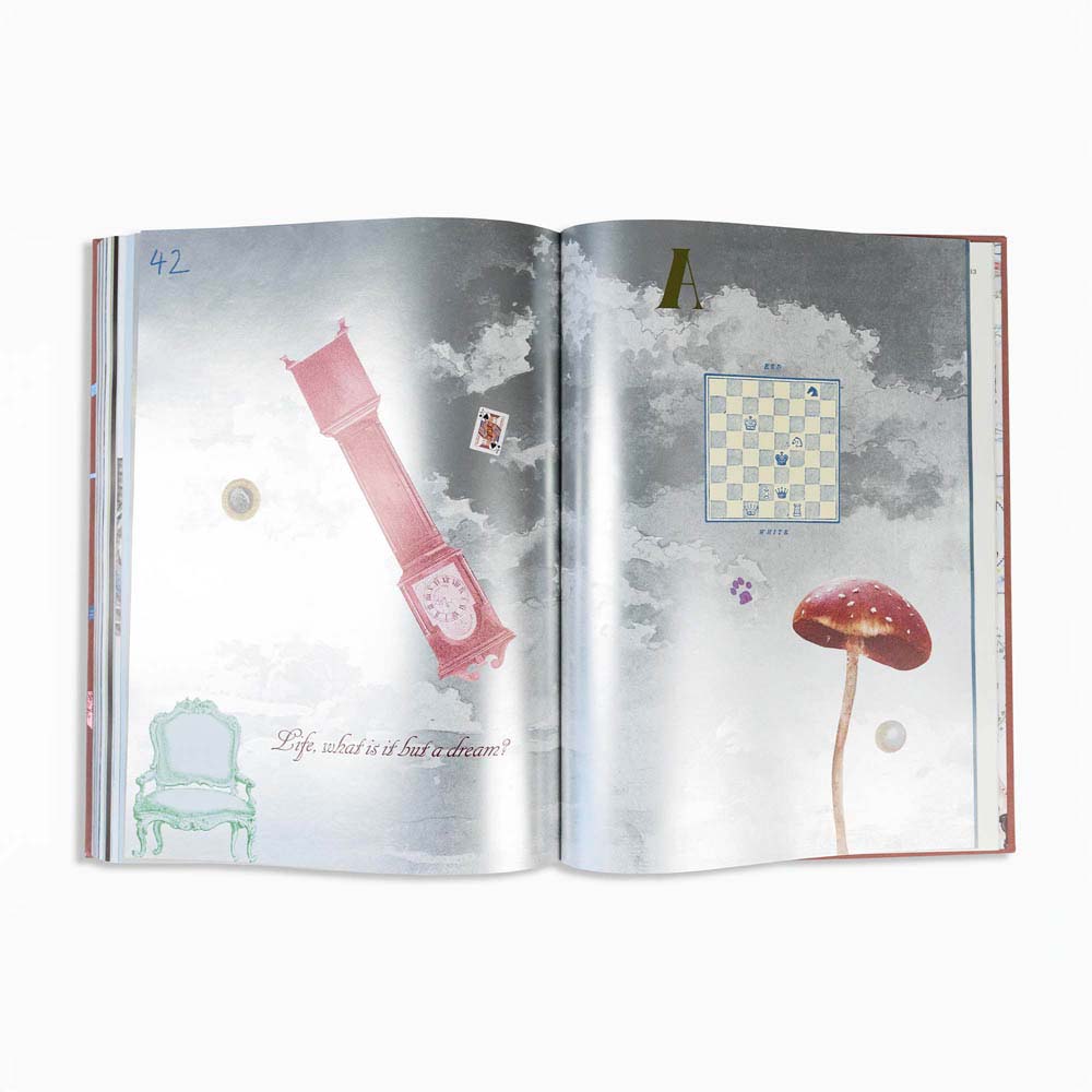 Alice in Wonderland Art Novel