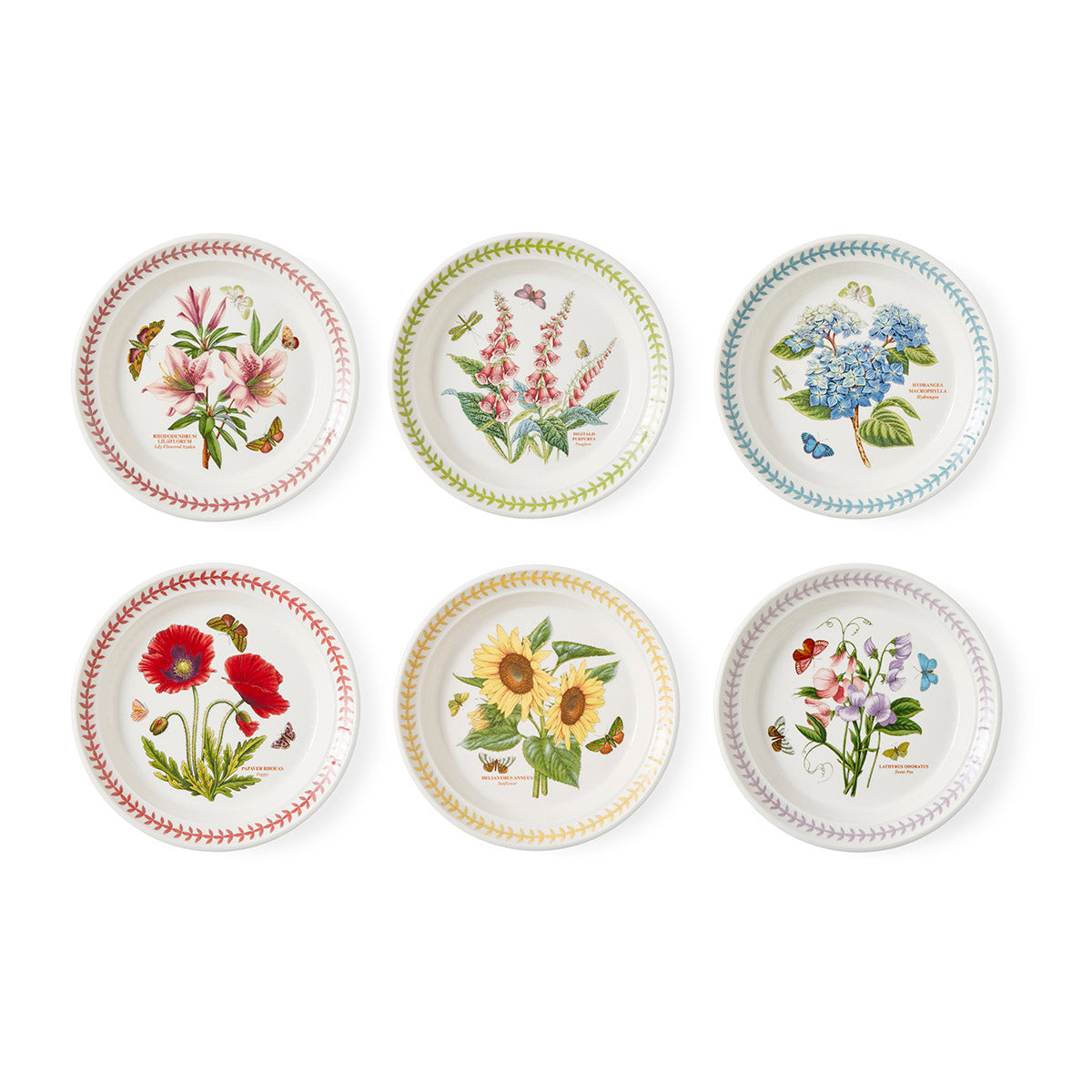 Botanic Garden Meadow Bread Plates, Set of 6