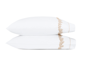 Atoll Collection