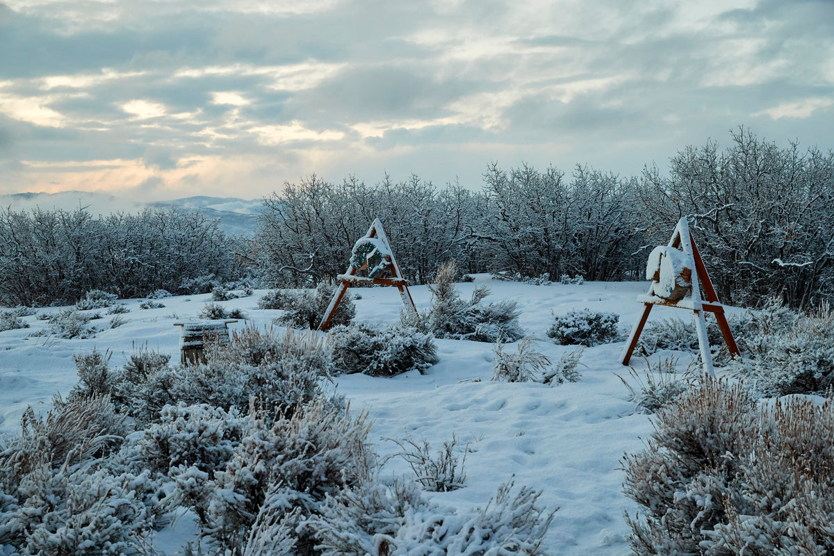 The Lodge at Blue Sky, Luxury 5-Night Stay