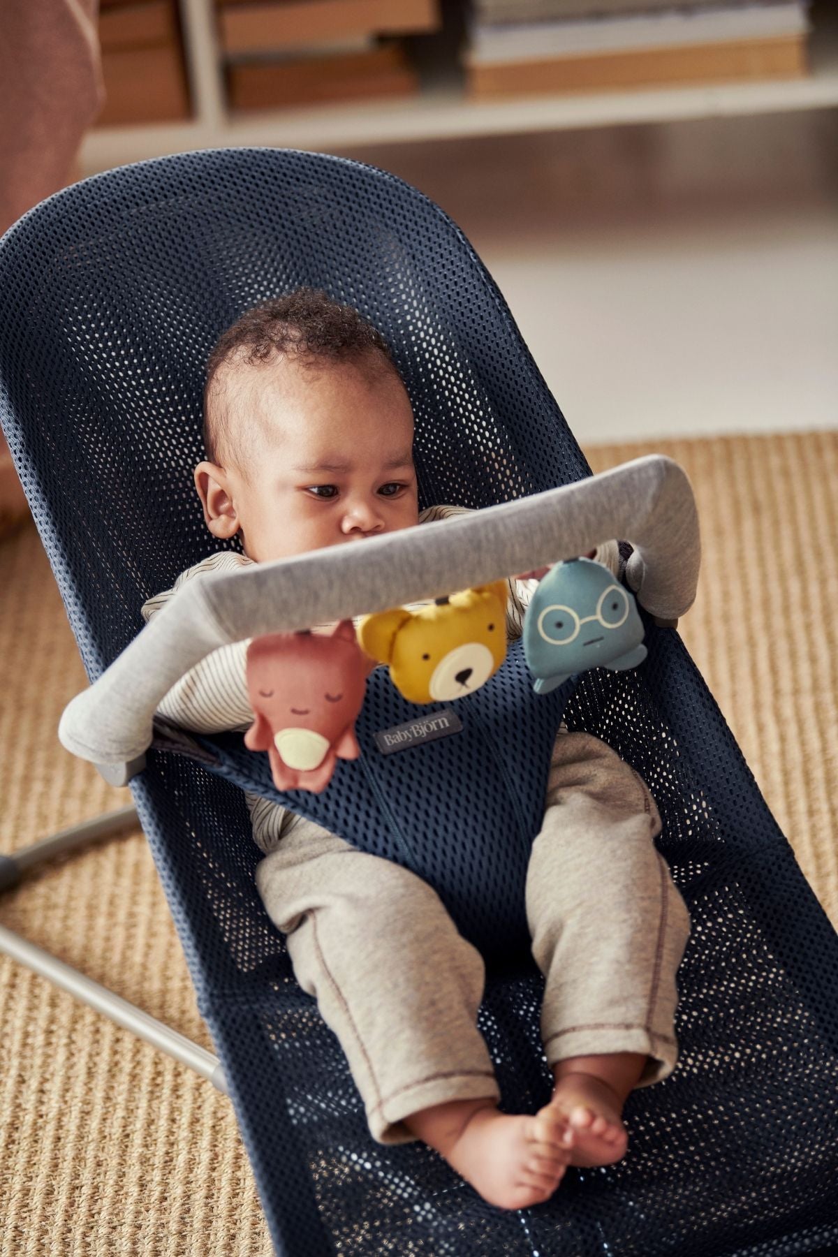 Toy for Bouncer in Soft Friends