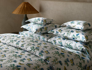 The Baudin Butterfly Collection
