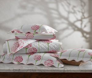 The Charlotte Collection