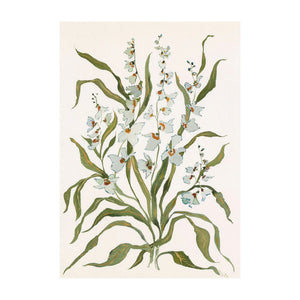 Botanical Print: Dove & Celadon
