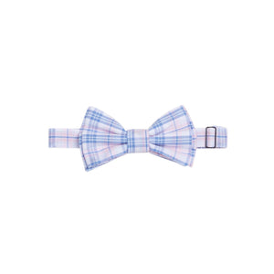 Bow Tie Albany Plaid