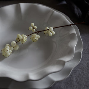 Rosa Collection Pasta Plates in White, Set of 6