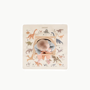 Dinosaur Alphabet @overhead of baby in highchair on mini