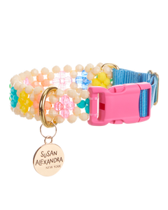 Broadway Dog Collar