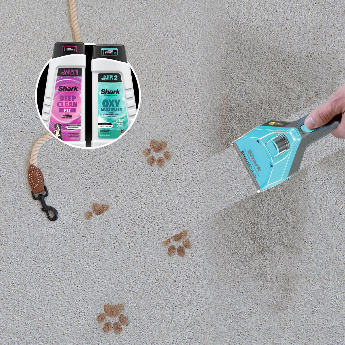 CarpetXpert HairPro Carpet Cleaner w/ StainStriker