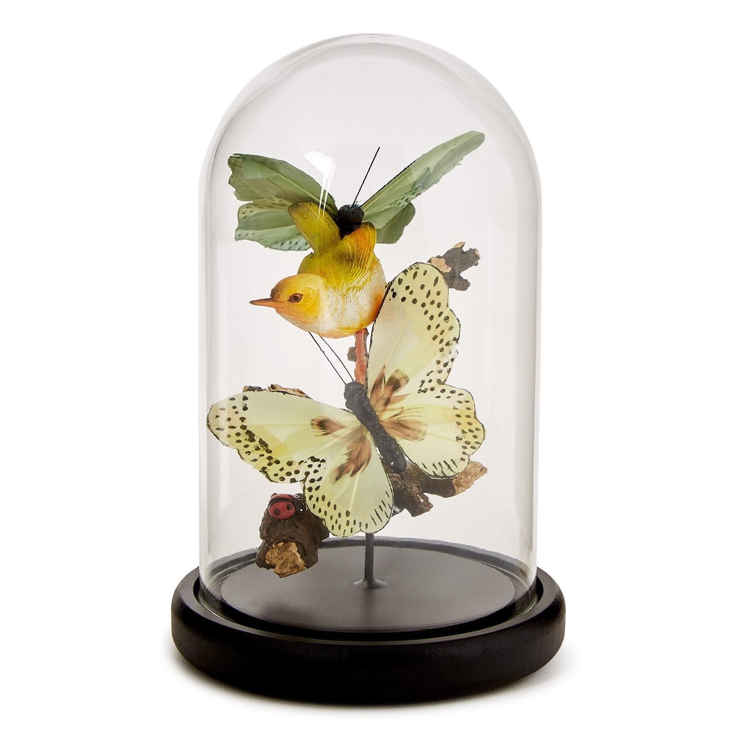 Flora and Fauna Butterfly & Bird Sculpture in Round Dome