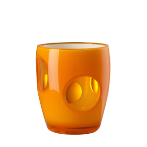 Fisheye Acrylic Tumbler
