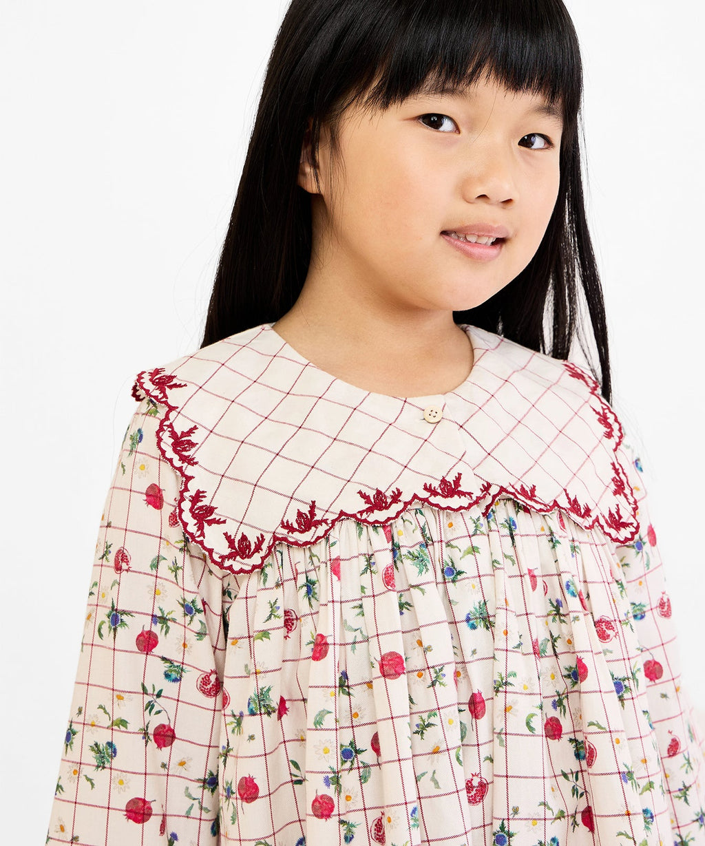 Gigi Dress in Pomegranate Parade