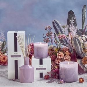 Midnight Cactus Signature Candle