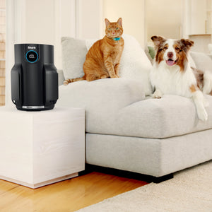 NeverChange Air Purifier in Black