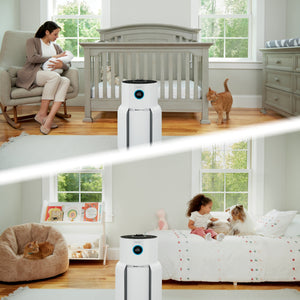 NeverChange Air Purifier MAX