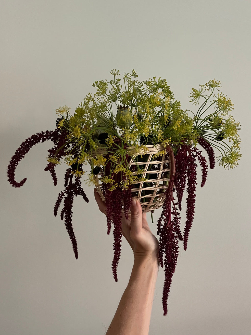 Onion Basket
