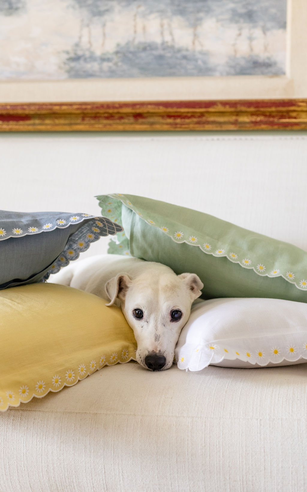 Daisy Boudoir Sham in Celadon