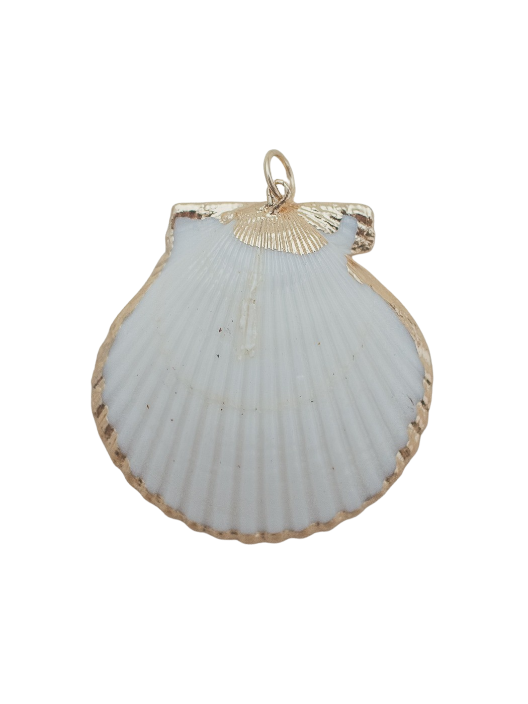 Large Scallop Shell Charm in White