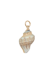 Medium Spiral Shell Charm in Multi