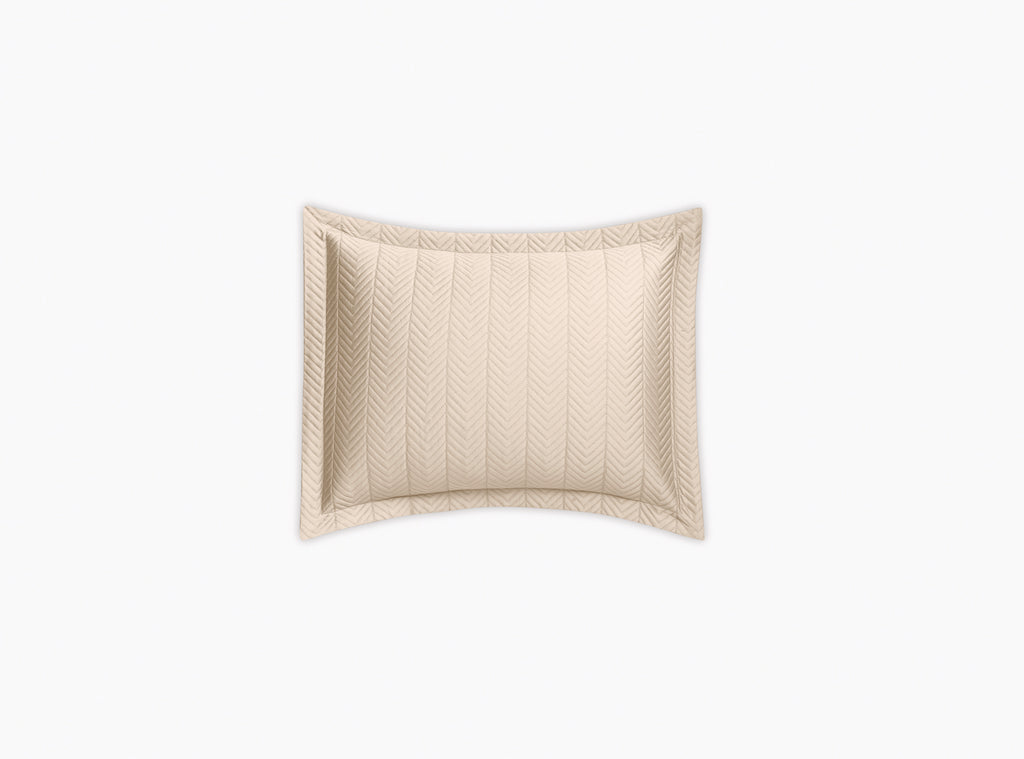Netto Collection