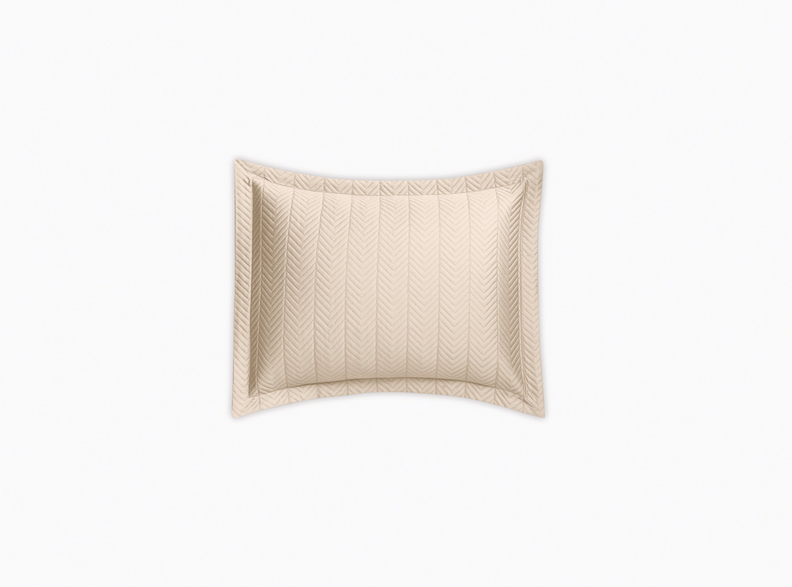 Netto Collection