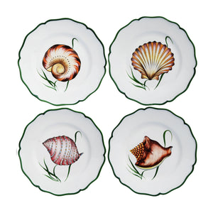 Shells Dinner Plate in Multi, Set of 4