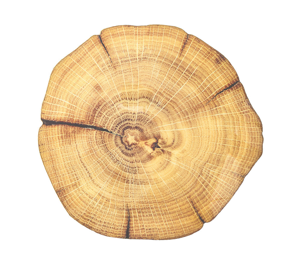 Woodland Placemat in Natural & Brown, Set of 4