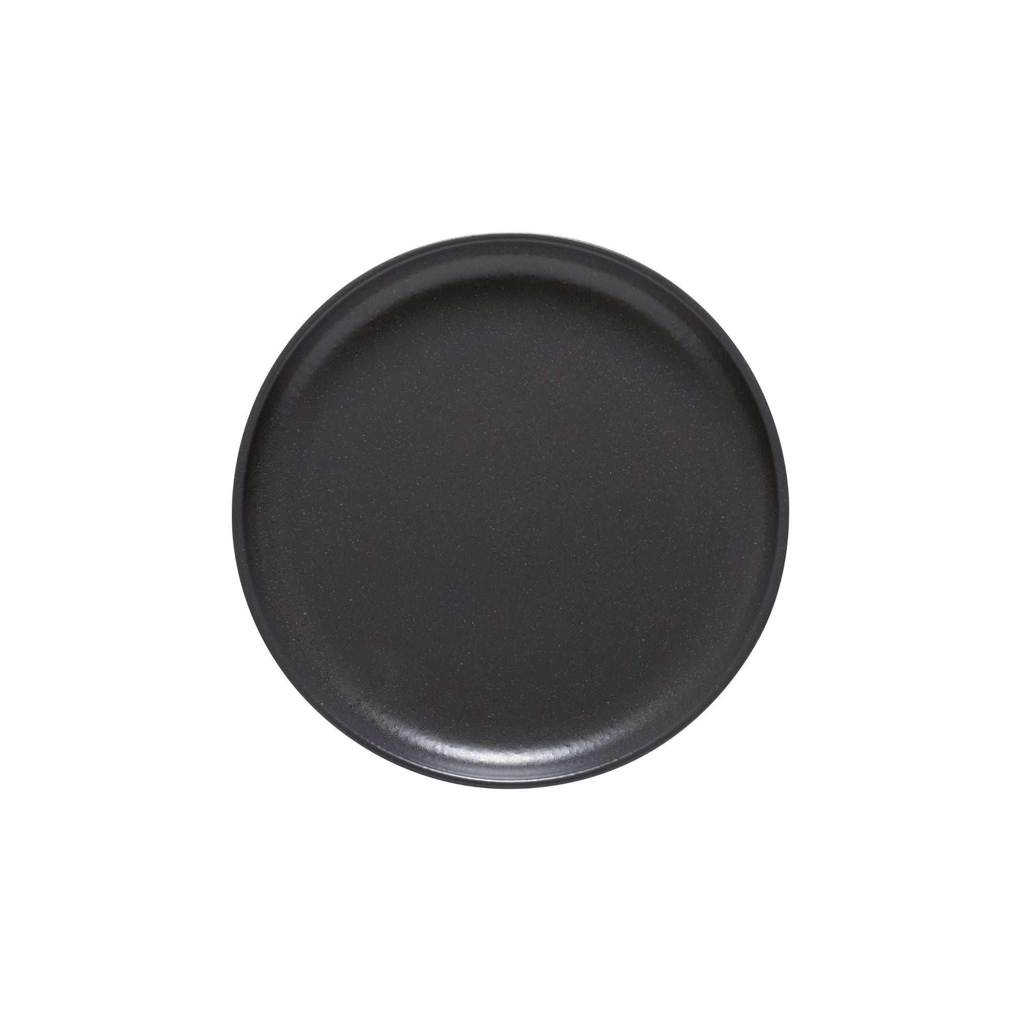 Pacifica Collection Salad Plates 9" in Seed Grey, Set of 6