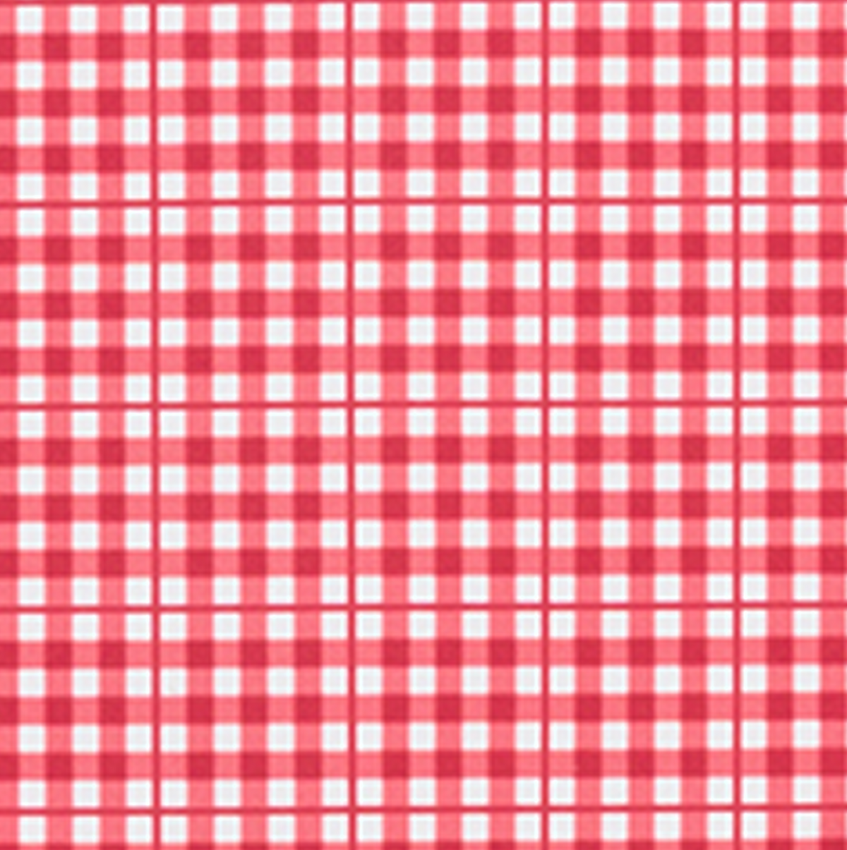 Girl’s Poppy Gingham Tie-Knot Rashguard Set