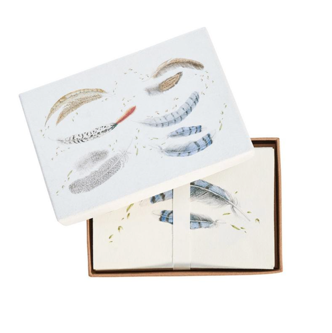 Forest Walk Note Card Assorted Set/6