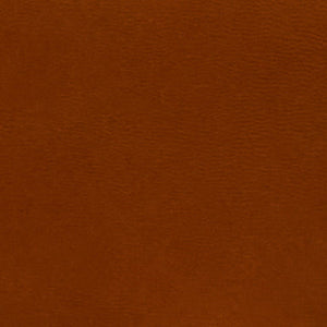 Jane in Acorn