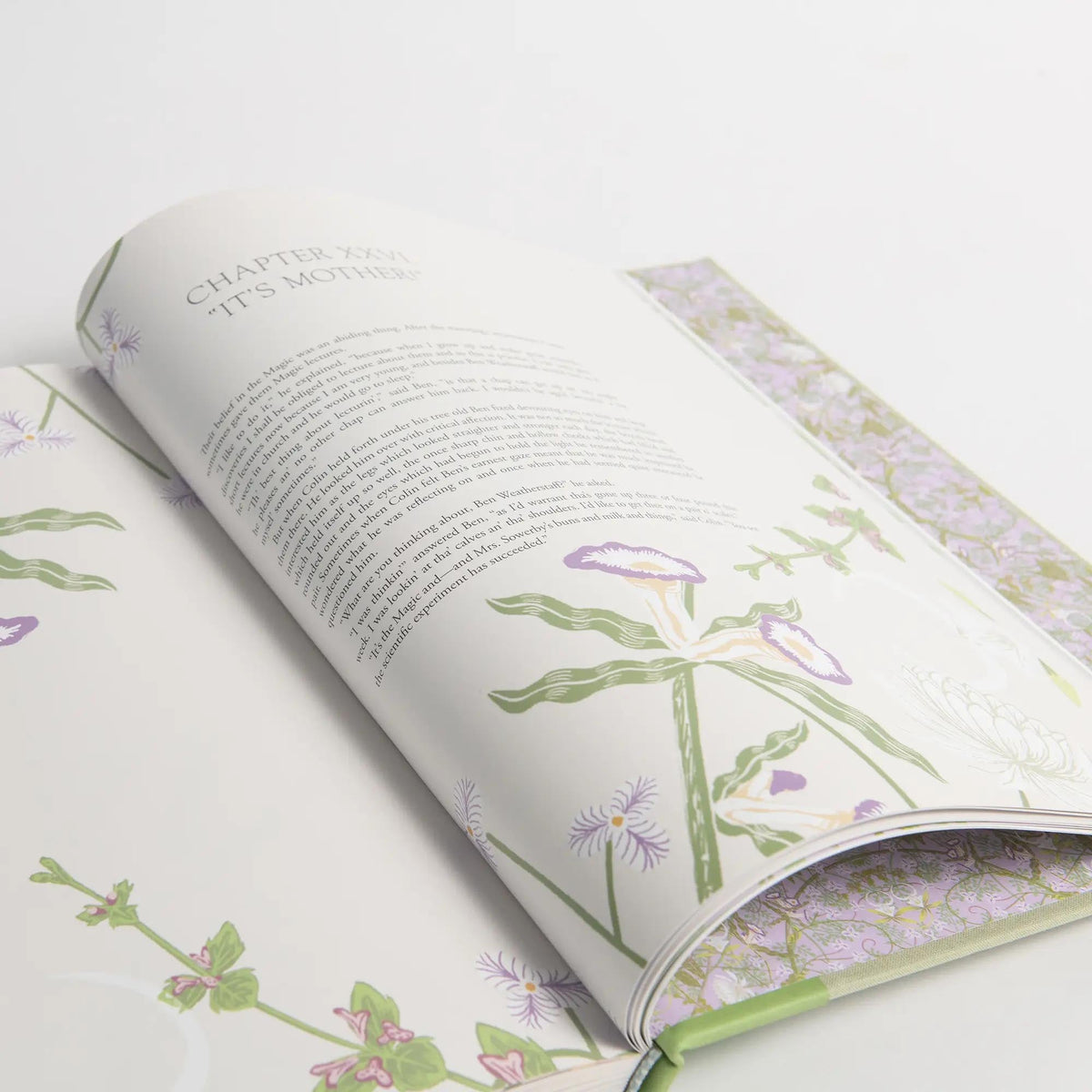 The Secret Garden Art Novel Collector's Edition
