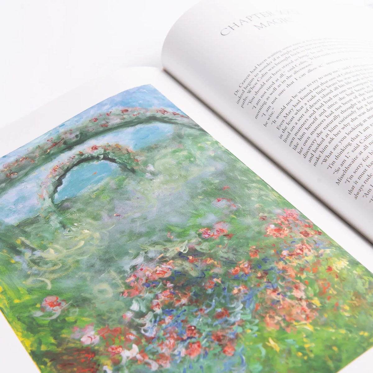 The Secret Garden Art Novel Collector's Edition