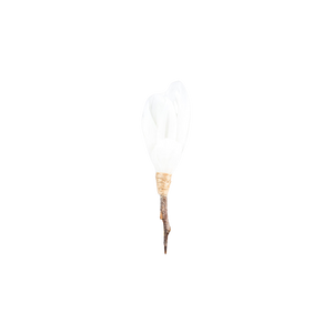 Beckham Pin