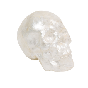 Capiz Skull in Pearl