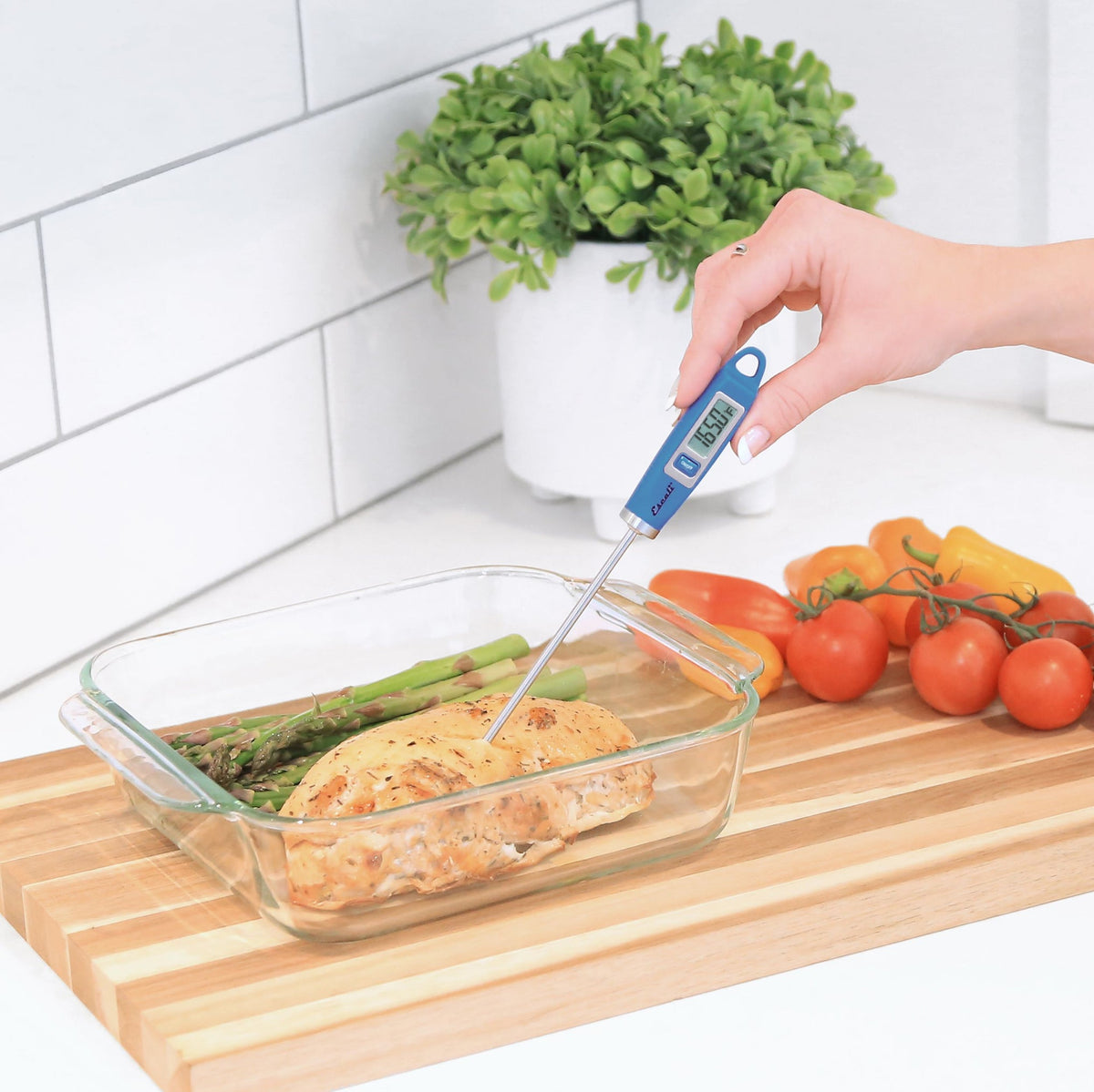 Gourmet Digital Thermometer in Blue